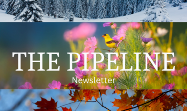 The Pipeline Newsletter
